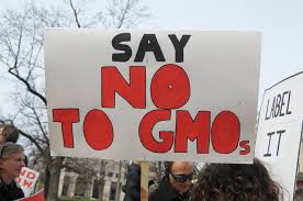 GMO’s are a NO