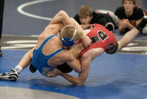 Individual Wrestling Sections