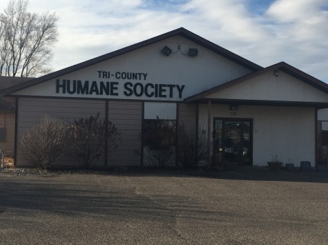 Humane Society Makes a Difference