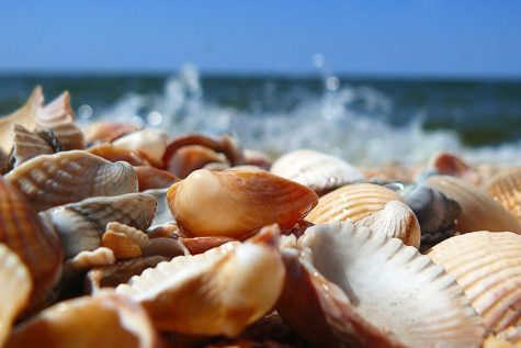 Plan the perfect spring break