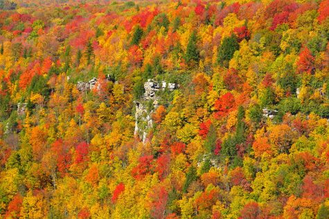 Things to do this fall