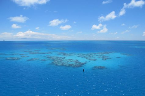 Bermuda triangle mystery solved?