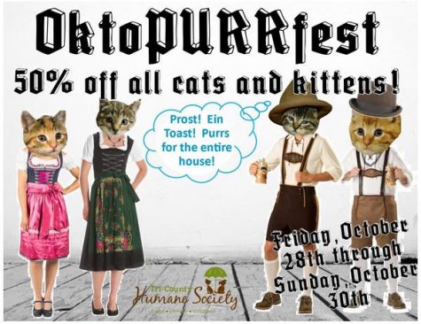 The PURRfect way to end October