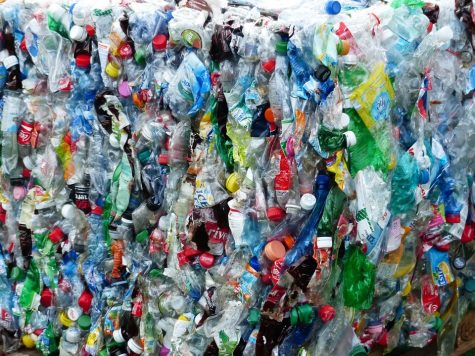 France goes plastic free