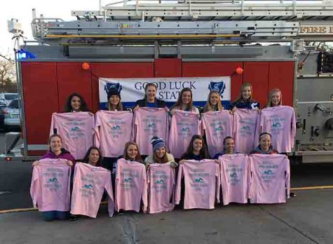 Girls State Swimming and Diving 2016