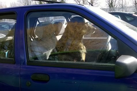 Break the windows!