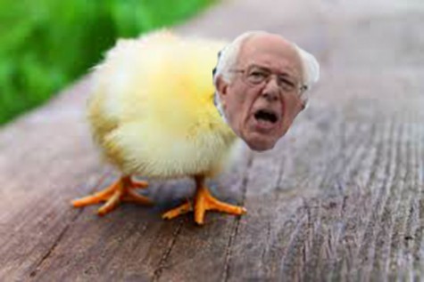 The Presidential Barbecue: Bernie Sanders