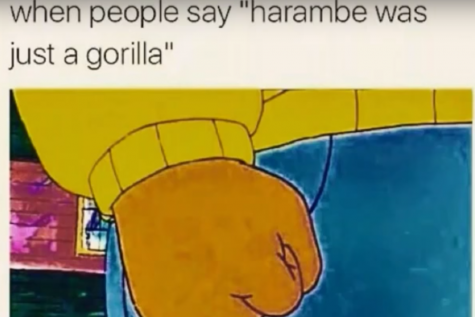 Harambe: the gorilla, the hero, the meme
