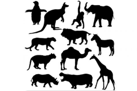 Keeping exotic animals as pets