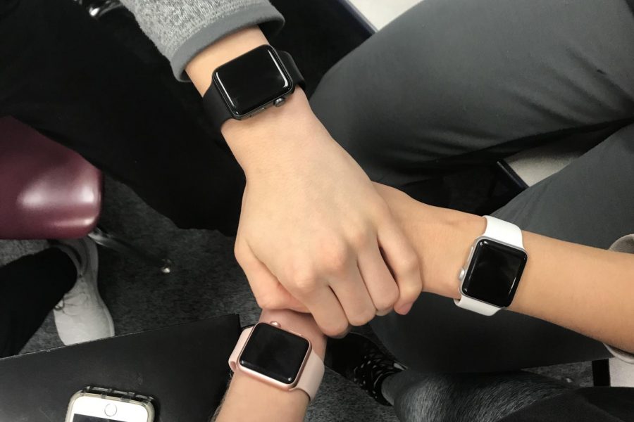 Are apple watches worth the hype?