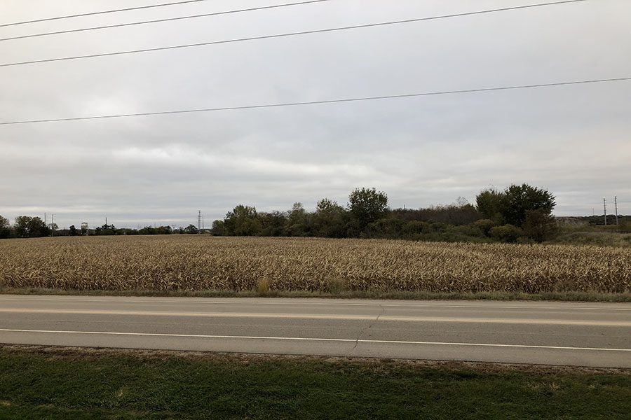 Corn field located in Waite Park, Minnesota that will receive benefits from Trumps subsidies