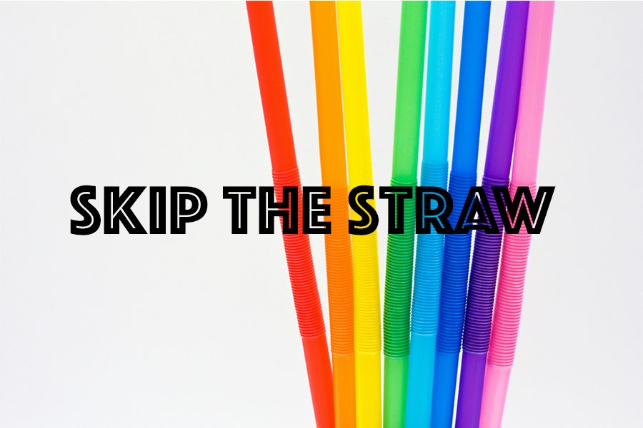 Take the Vow to skip the straw