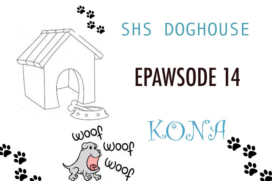 This+weeks+SHS+Doghouse+features+Kona+Arneson%2C+who+belongs+to+freshman+Emma+Arneson.