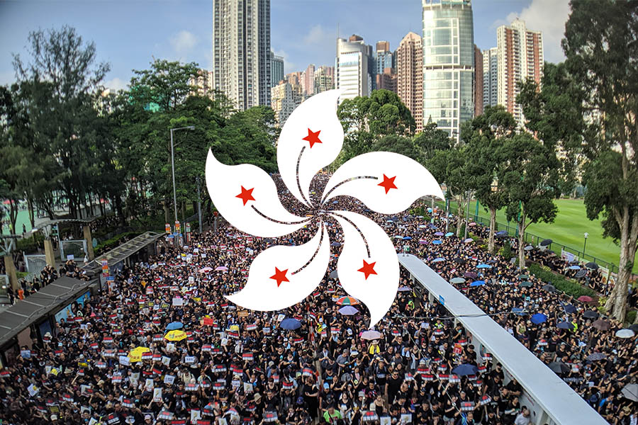 The+protesters+in+Hong+Kong+who+are+fighting+for+Democracy+and+freedom+have+a+flag+to+help+represent+their+fight.++This+flower+is+part+of+that+flag.+