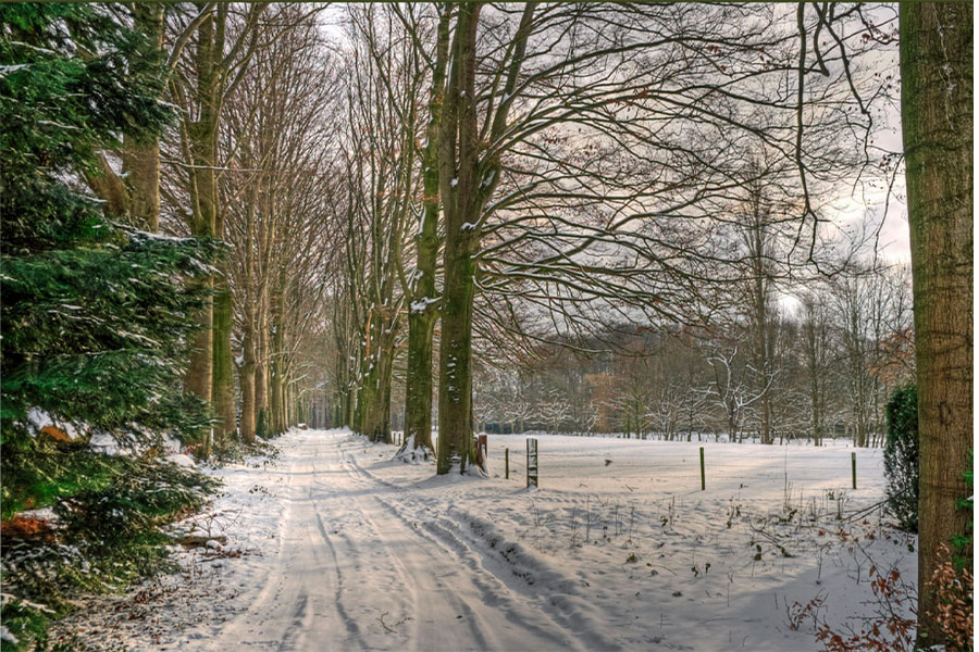 The cold winter weather doesn
