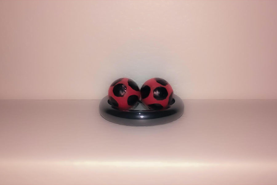 Ladybug and Chat Noirs earrings and ring that give them their powers.