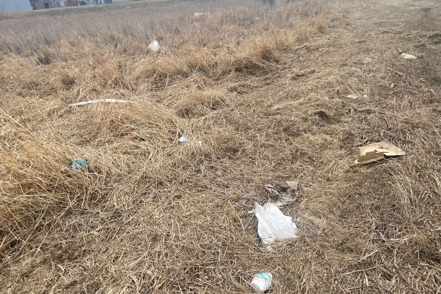 Plastic bags are filling the wetlands and ponds. 