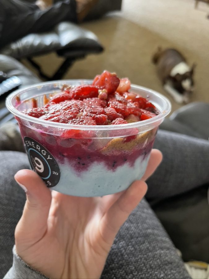 Cloud 9 energy bowl customized with two sorbet flavors, granola, fruit, and almond butter. 