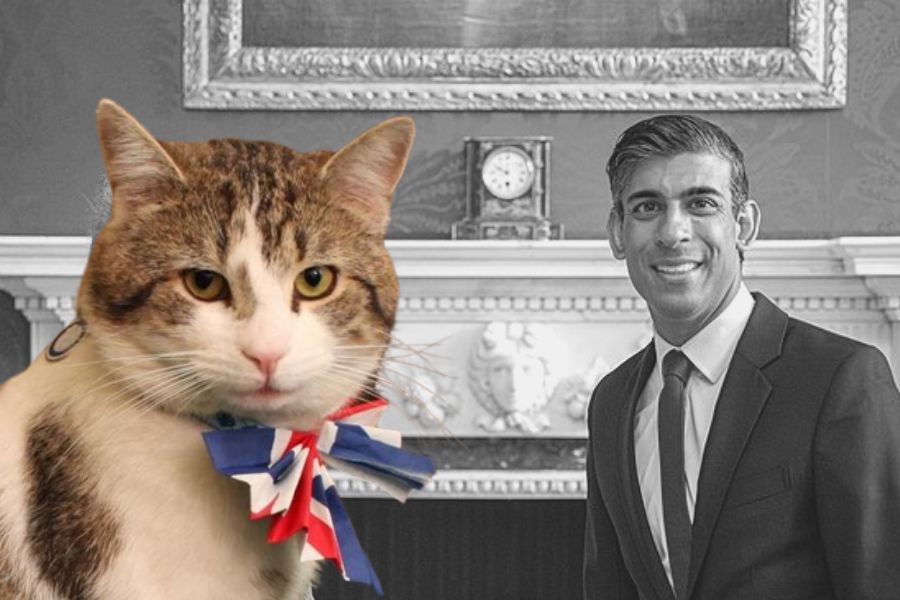 Rishi Sunak may be the newest Prime Minister of the United Kingdom, but Larry has already been guiding the British people for over 10 years.