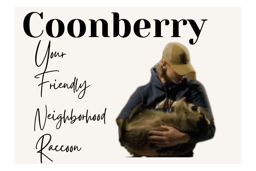 Sartell junior, Carter Bakken loves his adopted pet raccoon, Coonberry.