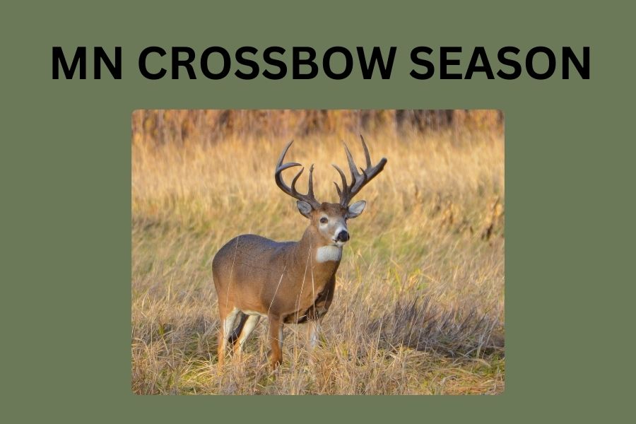 Minnesota allows hunters of all ages to participate in hunting with a crossbow. 