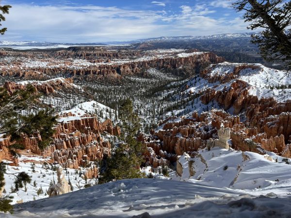 Bryce Canyon National Park, known for its hoodoos, has the largest collection of them on Earth. (Photo used with permission from Ava Radeke)