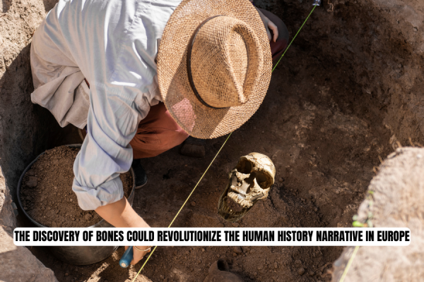 Unearthing in 8-meter-deep pit poses potential revolution in the human history storyline in Europe