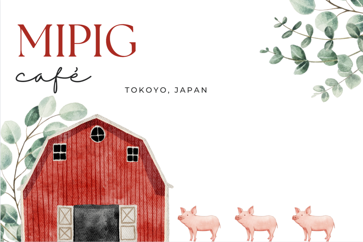 In Tokyo, Japan you can go to a café and cuddle with pigs.