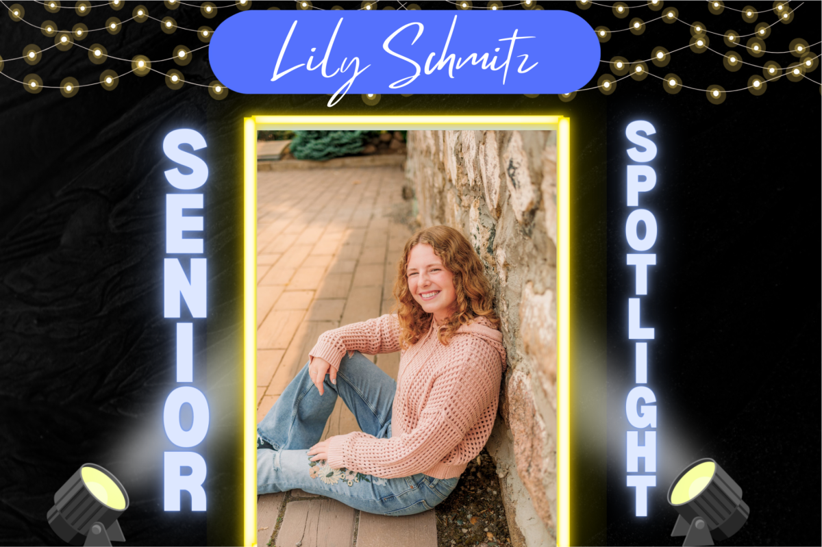 Introducing Lily Schmitz, a Sartell High School Senior this year!