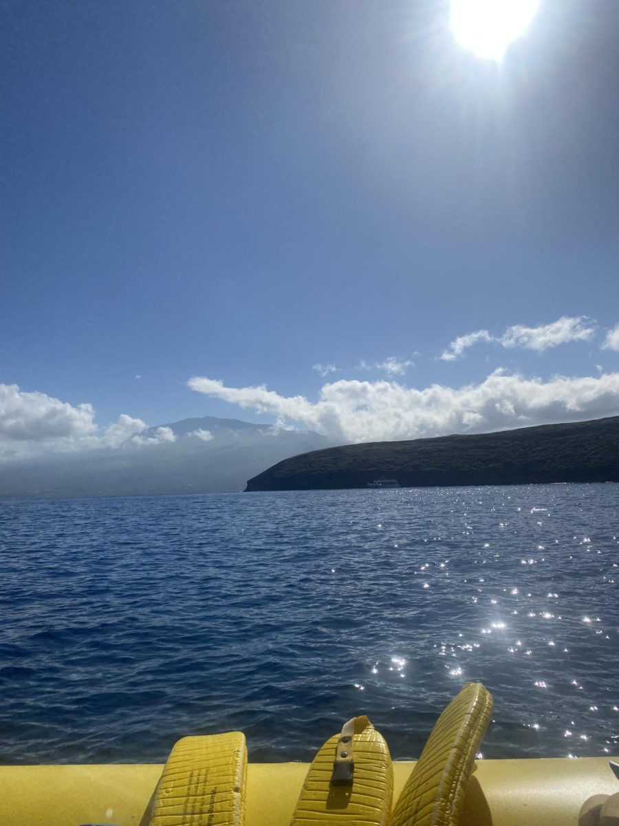 My family and I snorkel at Molokini, one of the most popular spots to snorkel in Maui. 