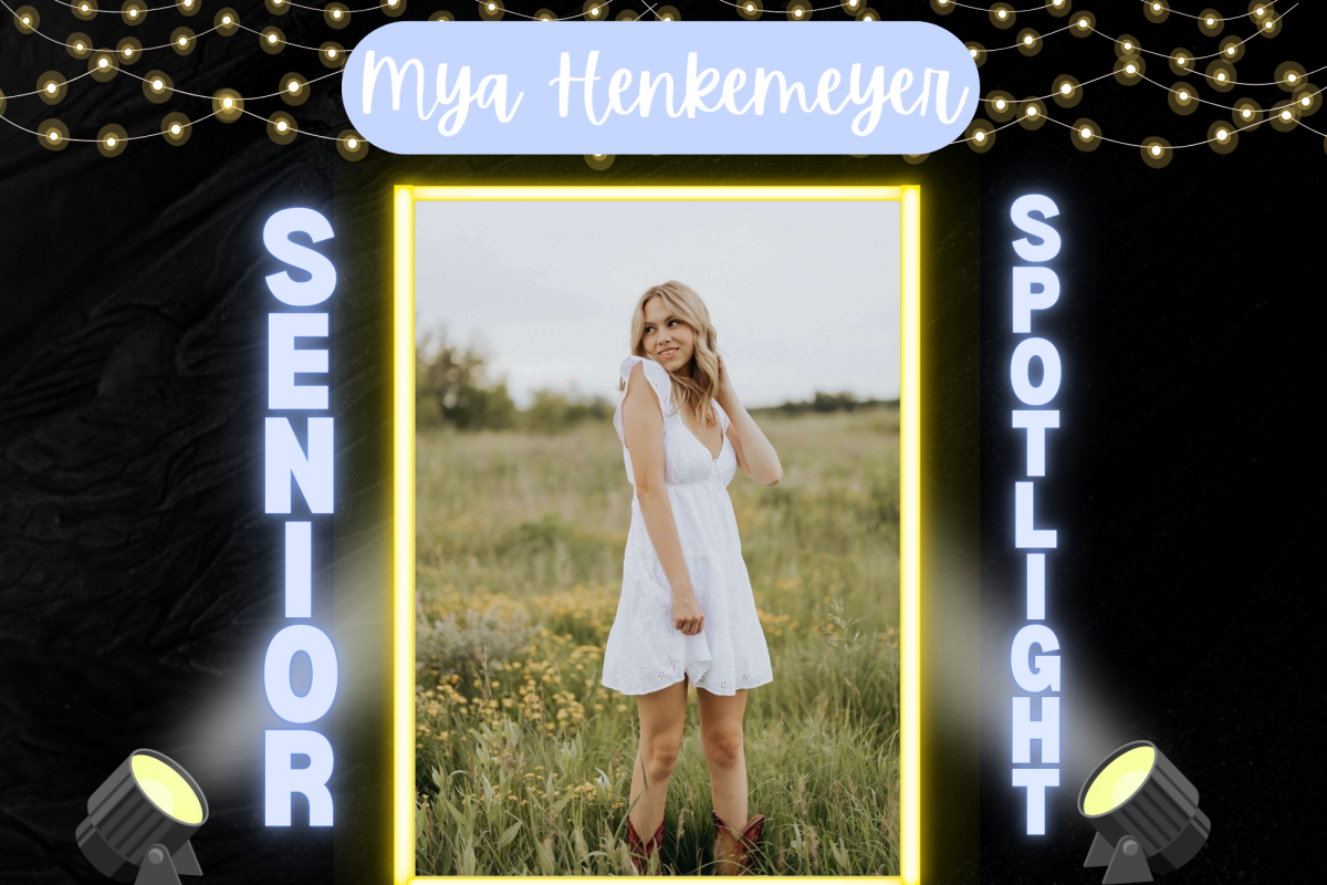Mya Henkemeyer is a senior at Sartell High School this year. 
