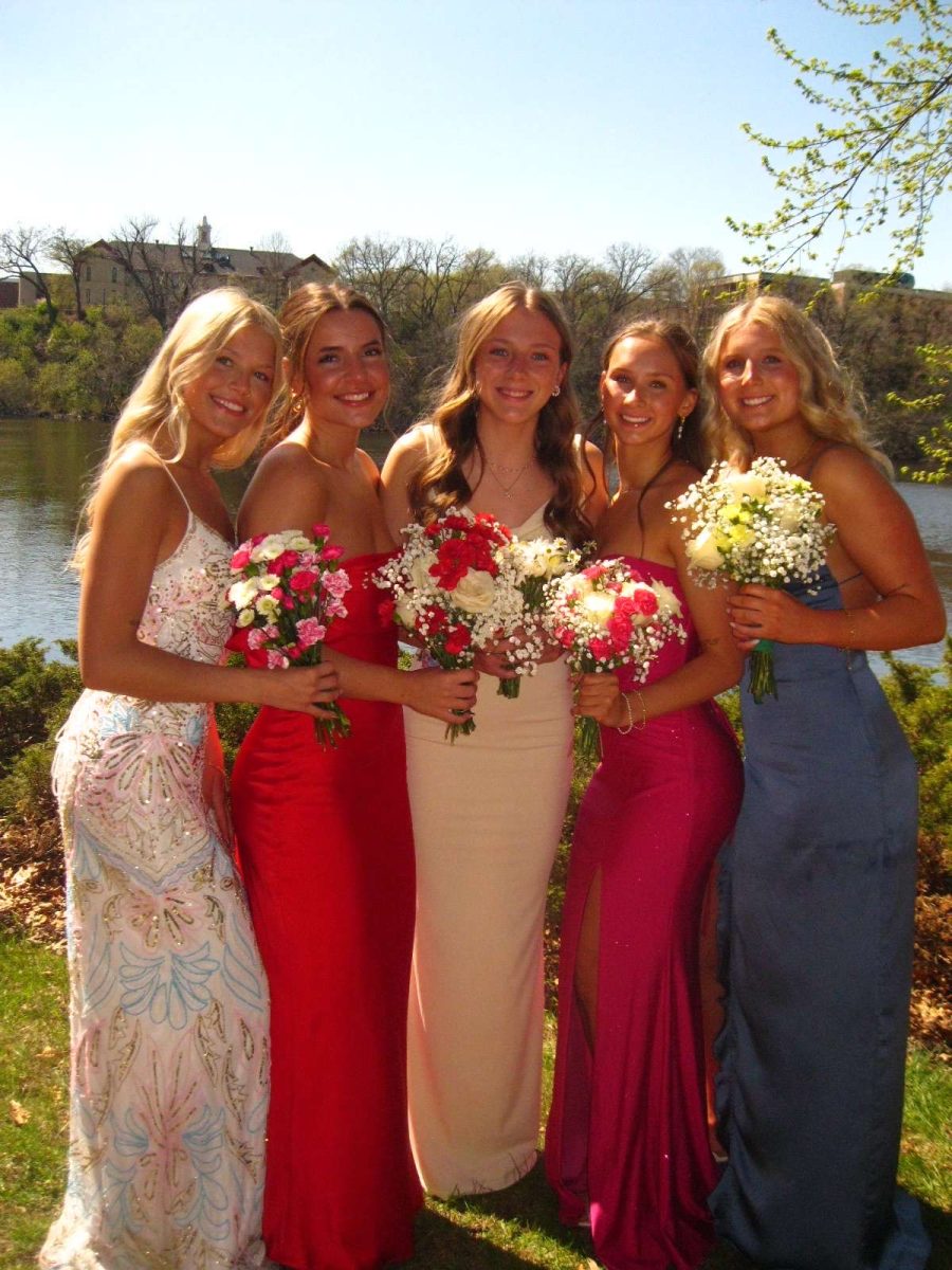 The girls took pictures together at munsinger gardens for prom.