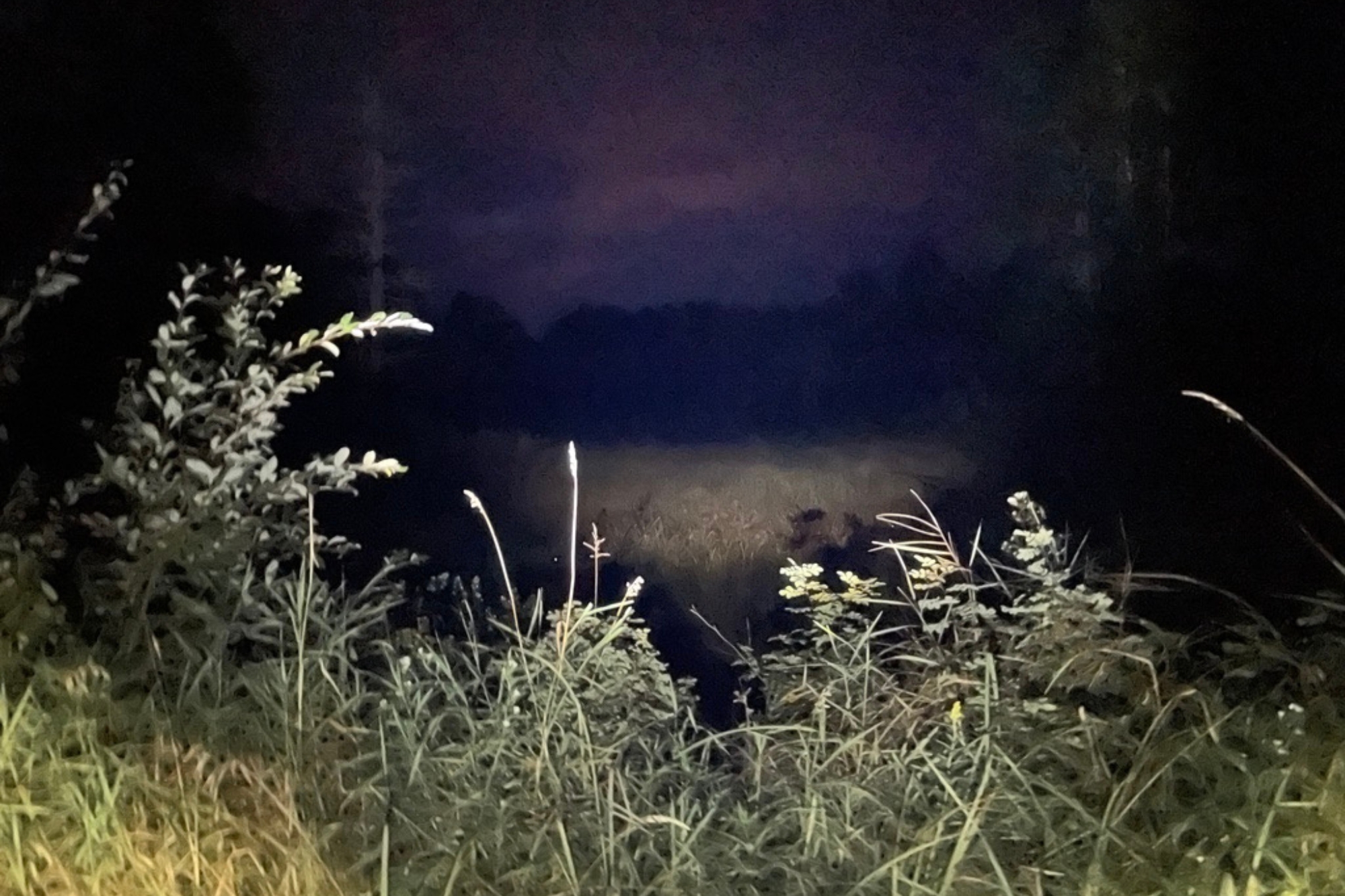 I like how the sky looks colored, and I think it may be due to the phone settings for the image.