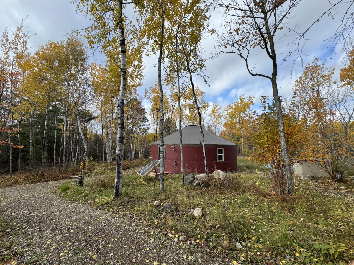 This photo was taken by Ms. Nelson. Their property is near about 80 acres of state land.