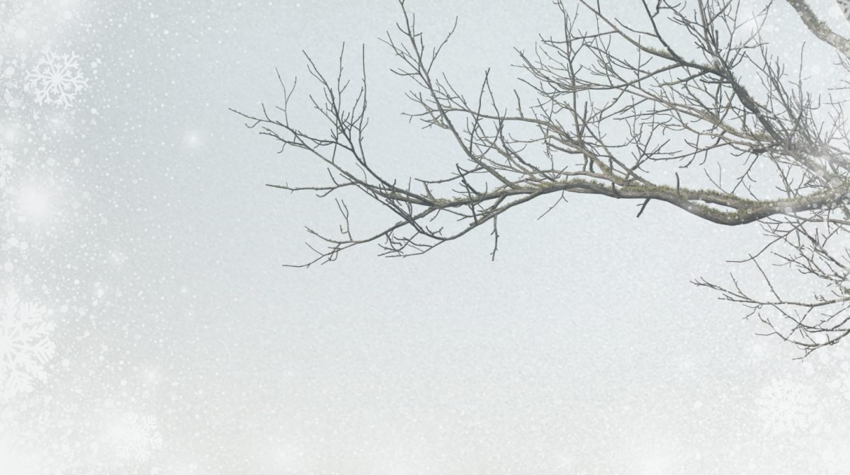 Minnesota and it's weather can cause some crazy thing to happen to nature. 