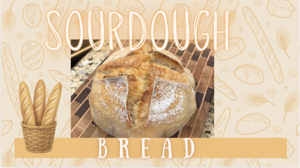 Tracy Magarian speaks about her love for sourdough to see if the trend is worth the hype. (Photo used with permission from Tracy Magarian)